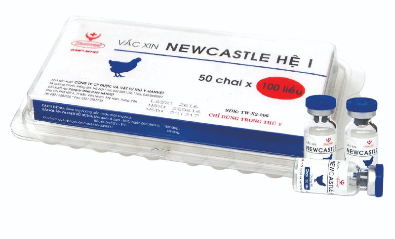 Vắc xin Newcastle được sử dụng phổ biến